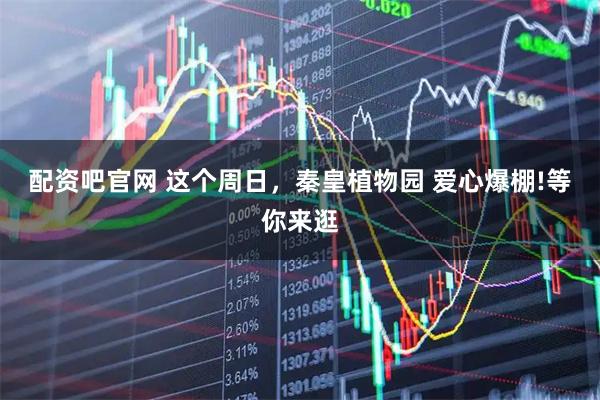 配资吧官网 这个周日，秦皇植物园 爱心爆棚!等你来逛