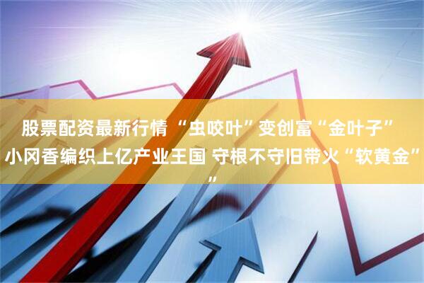 股票配资最新行情 “虫咬叶”变创富“金叶子” 小冈香编织上亿产业王国 守根不守旧带火“软黄金”