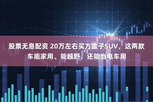 股票无息配资 20万左右买方盒子SUV，这两款车能家用、能越野，还能当电车用